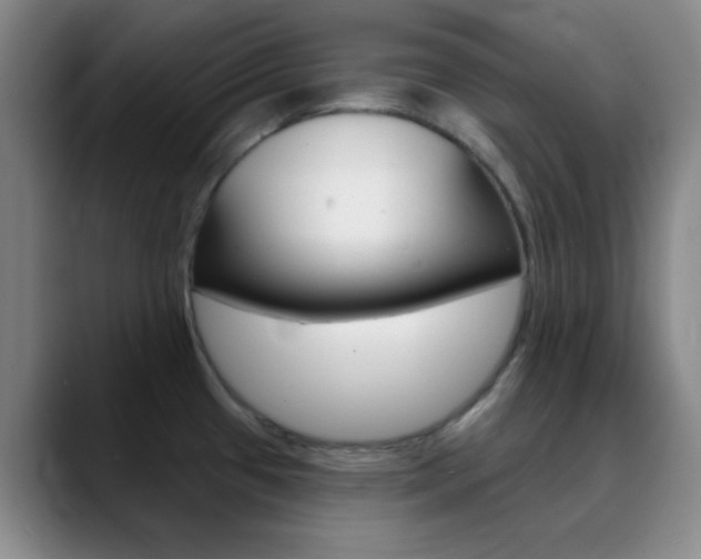 X0000090751433200707201023