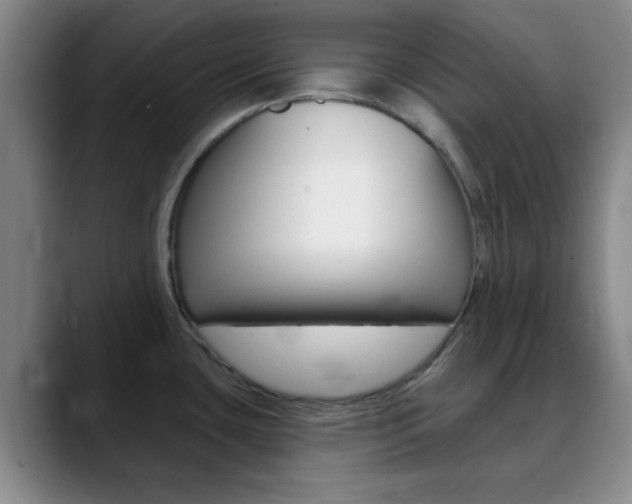 X0000090751435200707201023