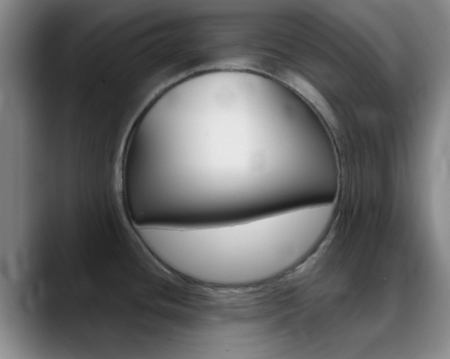 X0000090751436200707201023