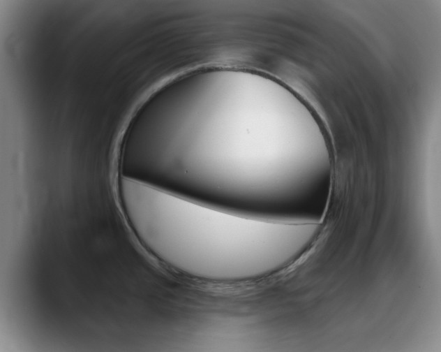 X0000090751437200707201023