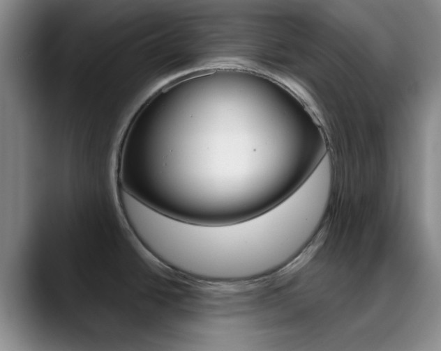 X0000090751438200707201023