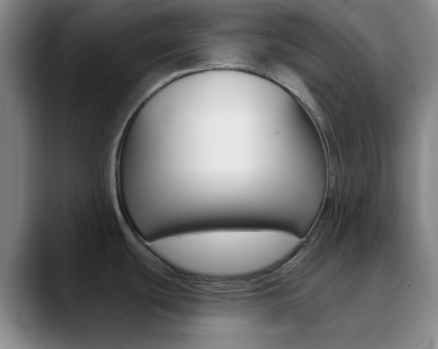 X0000090751439200707201023