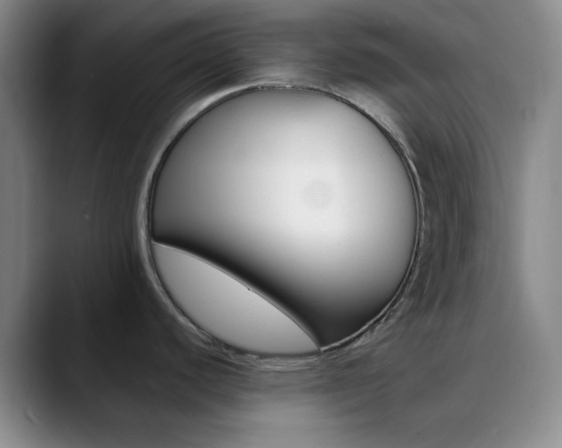 X0000090751440200707201023