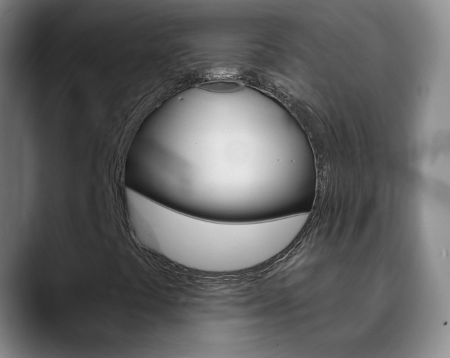X0000090751441200707201023