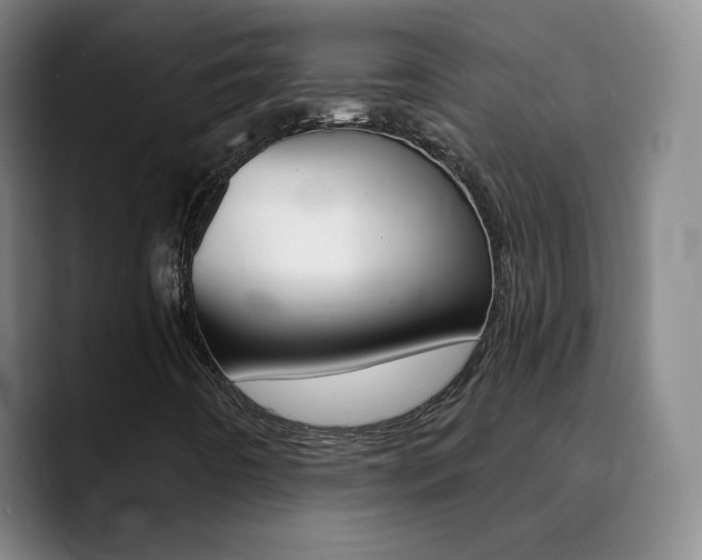 X0000090751442200707201023