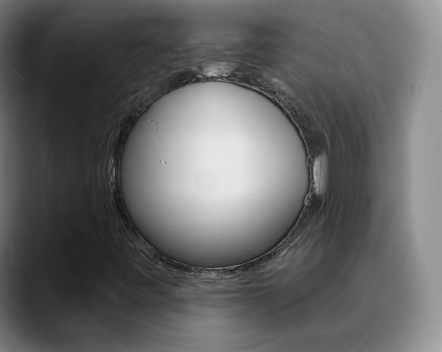 X0000090751443200707201023
