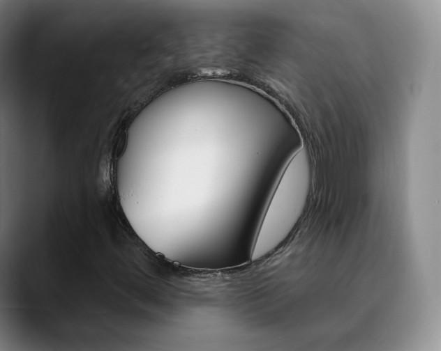 X0000090751444200707201023
