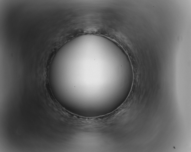 X0000090751445200707201023
