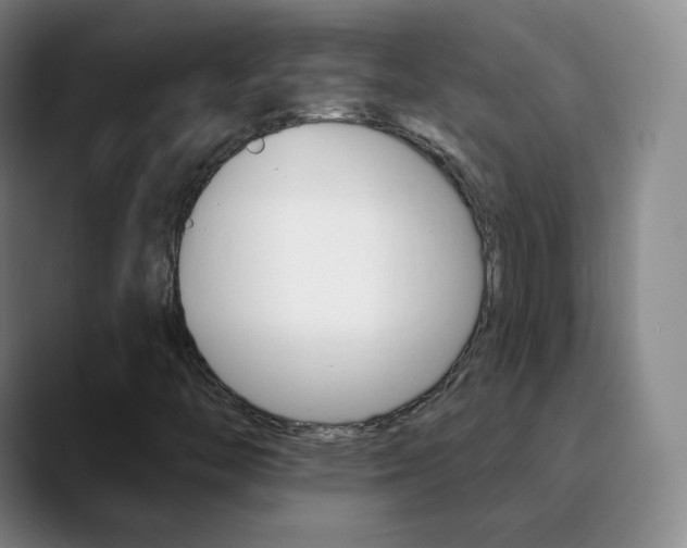 X0000090751446200707201023