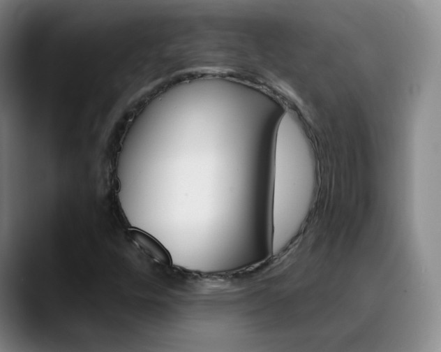 X0000090751448200707201023