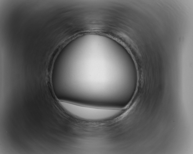 X0000090751449200707201023