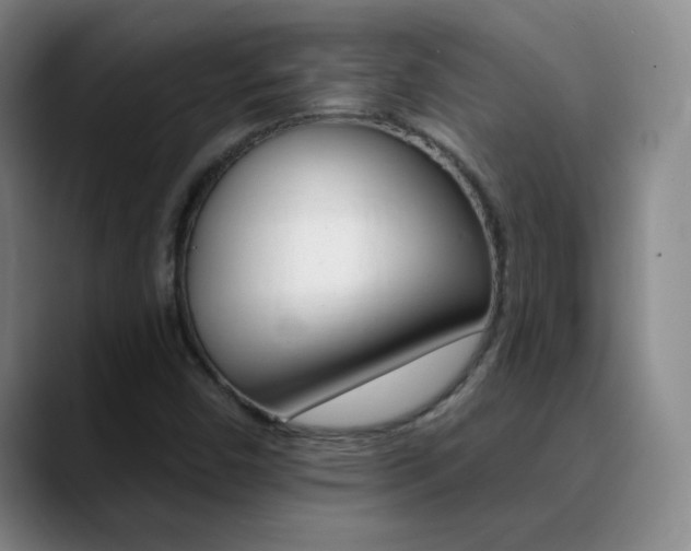 X0000090751450200707201023