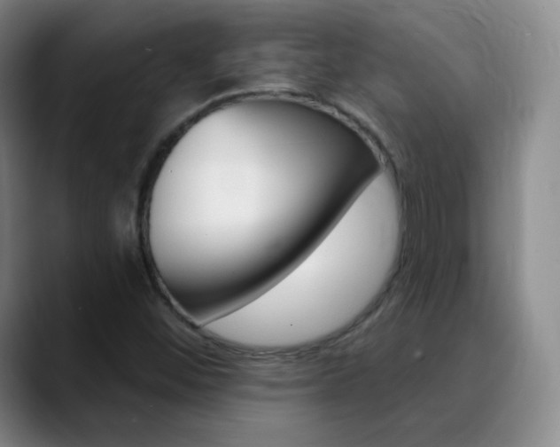 X0000090751452200707201023