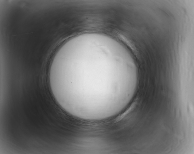 X0000090751453200707201023
