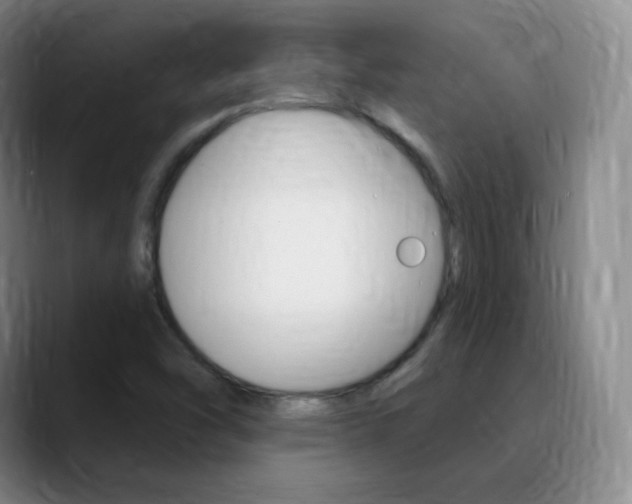 X0000090751454200707201023