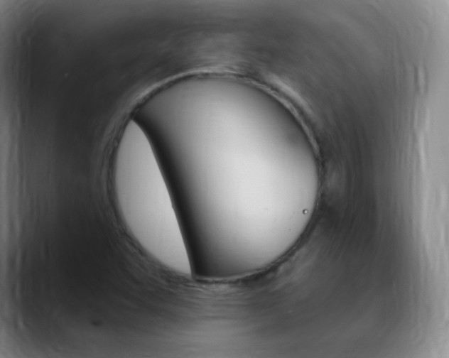X0000090751455200707201023
