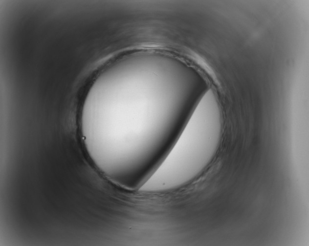X0000090751456200707201023