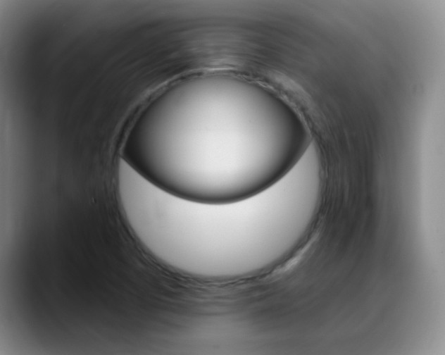 X0000090751457200707201023