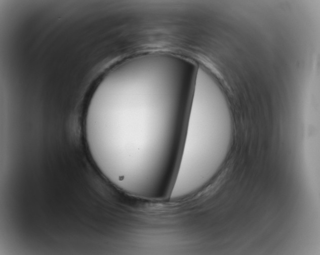 X0000090751458200707201023