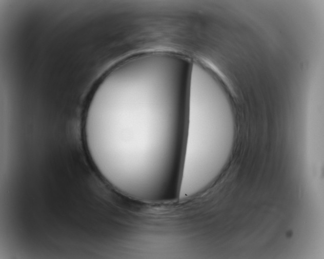X0000090751460200707201023