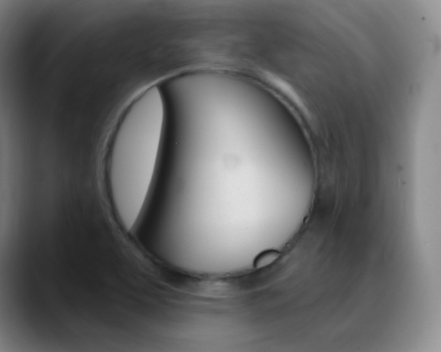 X0000090751463200707201022