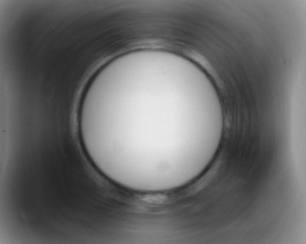 X0000090751466200707201022