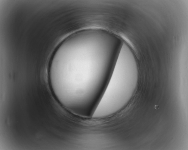 X0000090751468200707201022