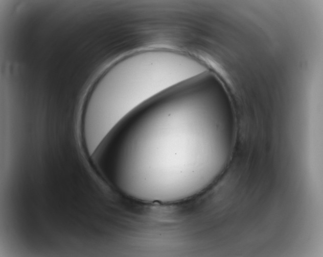 X0000090751469200707201022