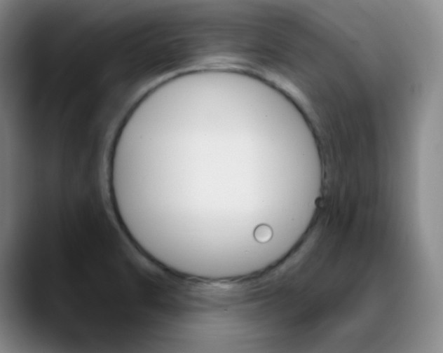X0000090751470200707201022