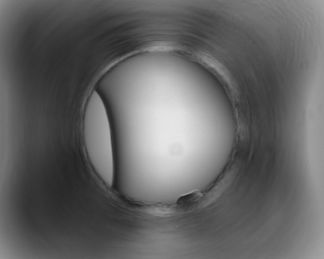 X0000090751473200707201022
