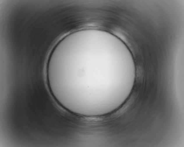X0000090751474200707201022
