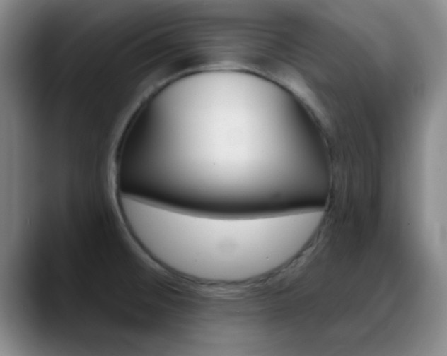 X0000090751476200707201022