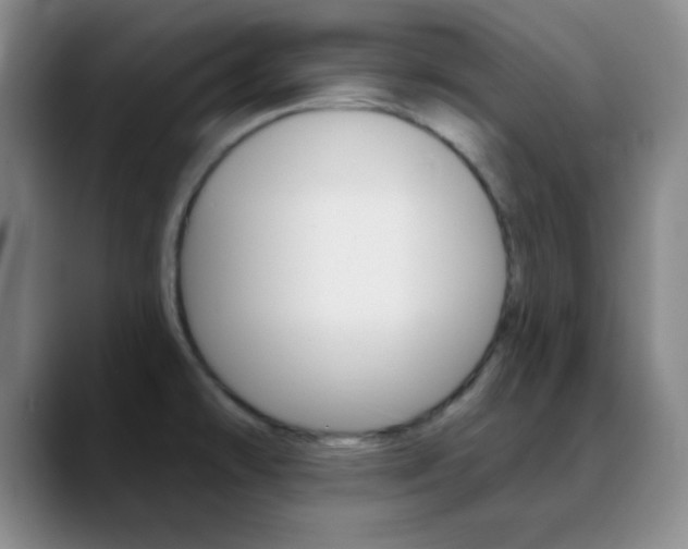 X0000090751478200707201022