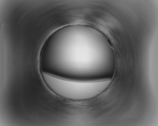 X0000090751479200707201022