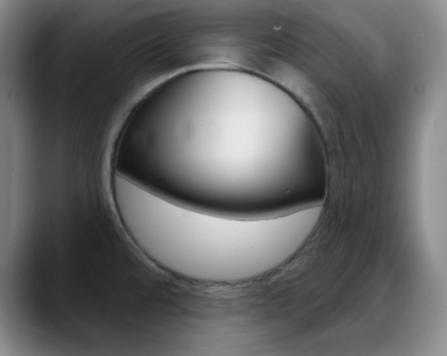 X0000090751480200707201022