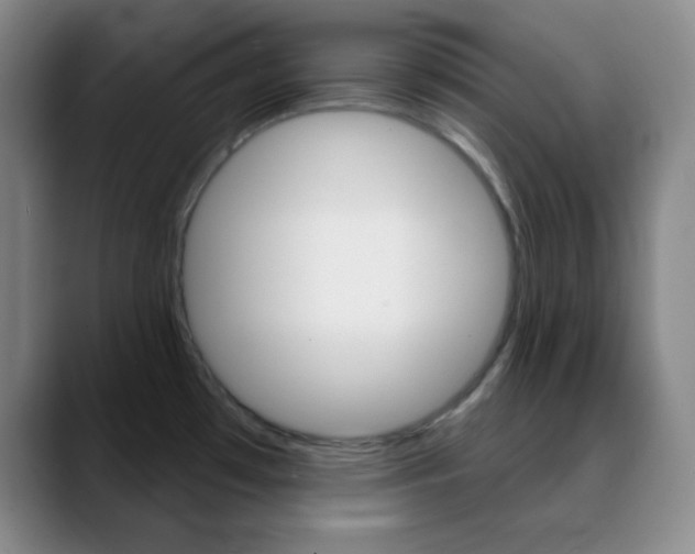 X0000090751481200707201022
