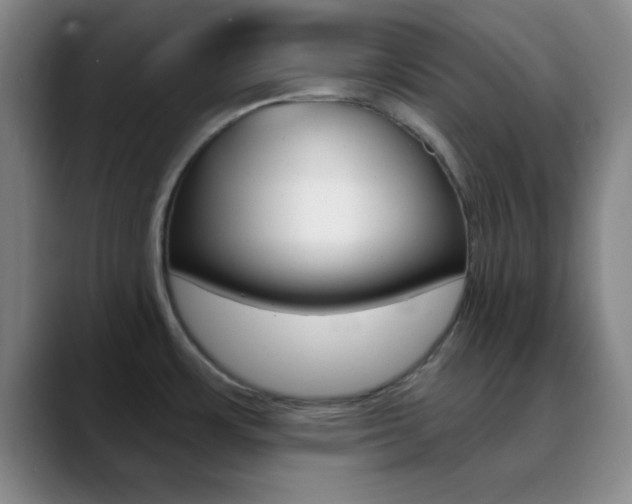 X0000090751483200707201022