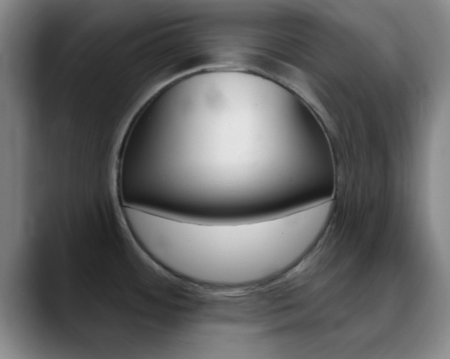 X0000090751484200707201022