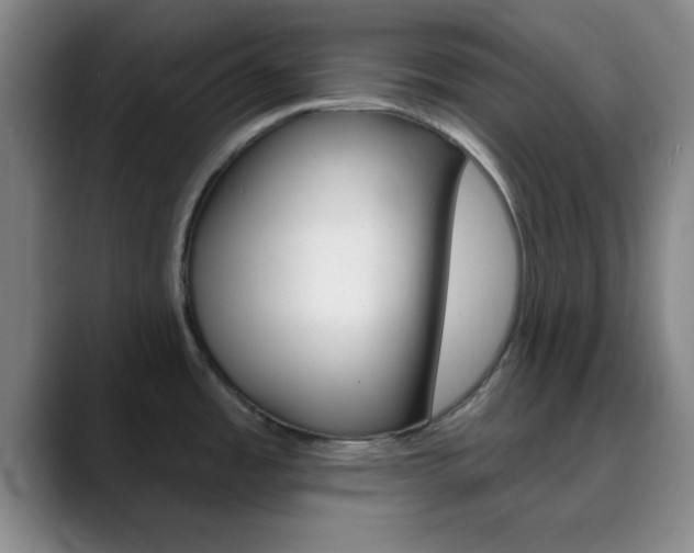 X0000090751485200707201022