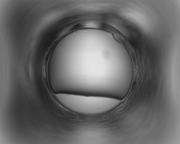 X0000090751487200707201022