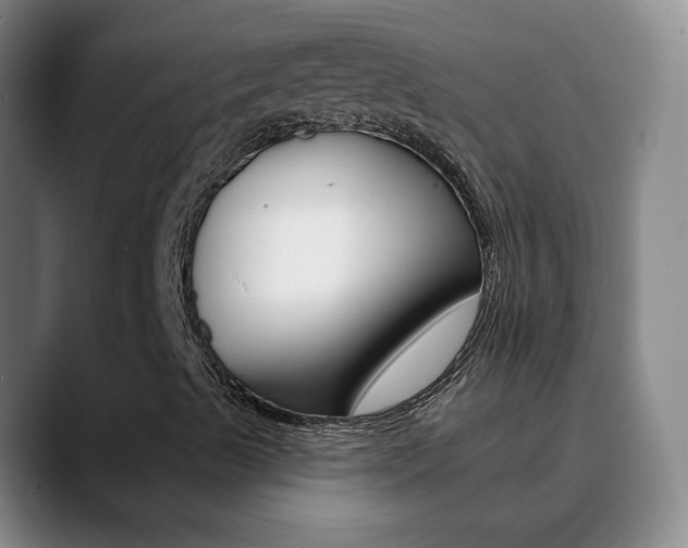 X0000090751489200707201022