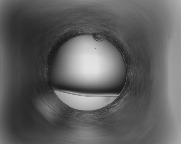 X0000090751490200707201022