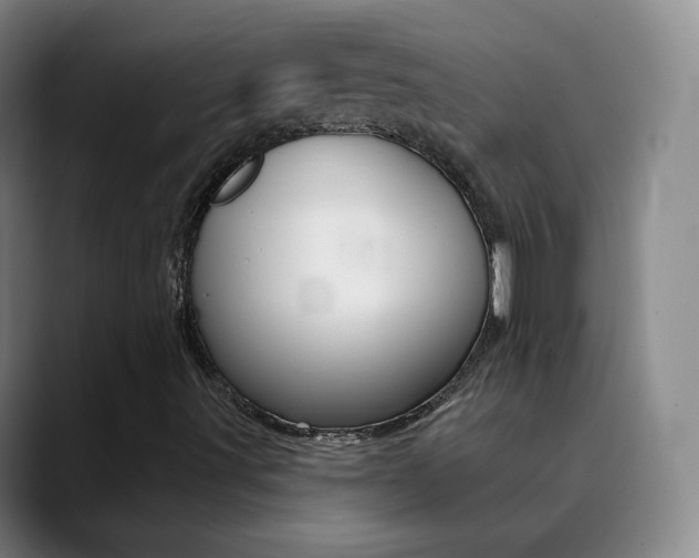 X0000090751491200707201022