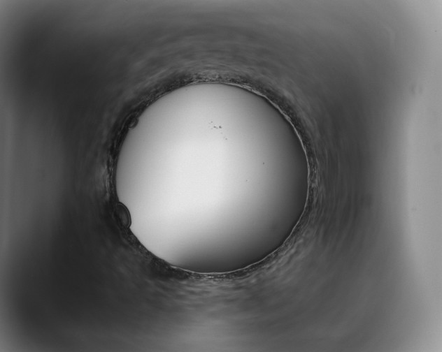 X0000090751493200707201022