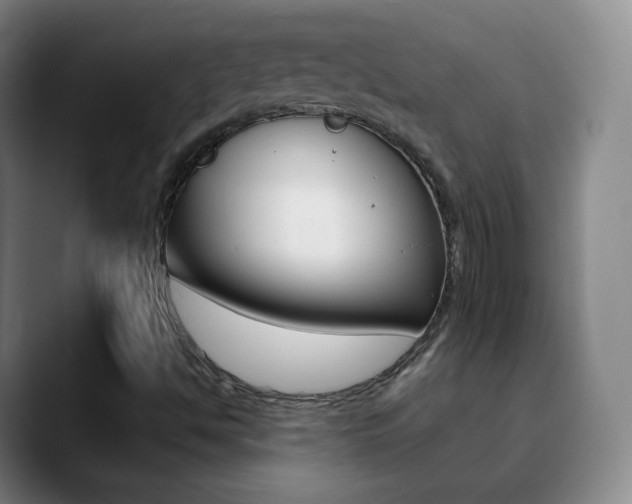 X0000090751494200707201022