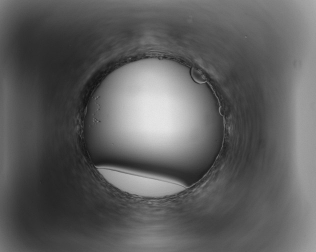 X0000090751495200707201022