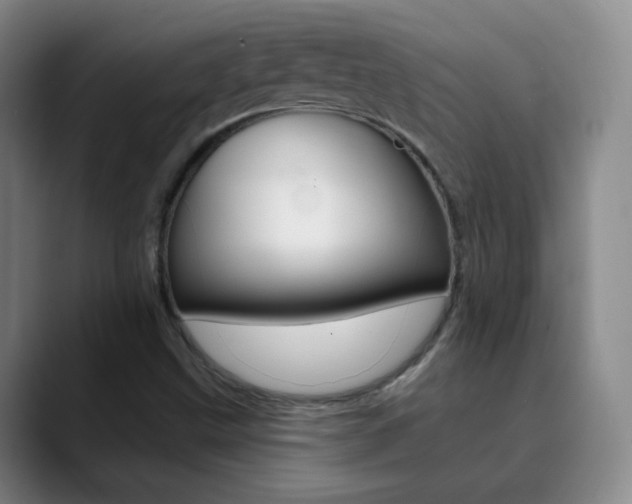 X0000090751499200707201022