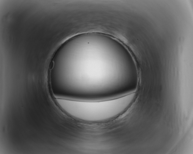 X0000090751500200707201022