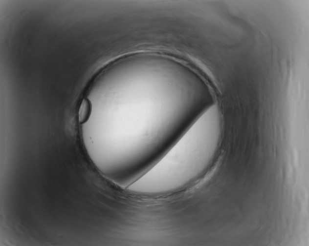 X0000090751501200707201022