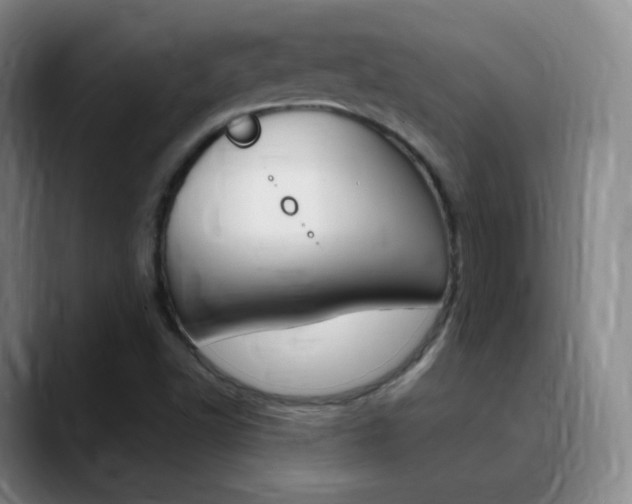 X0000090751502200707201022